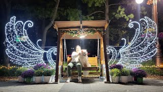 밤산책(대전보라매공원밤산책/night walk)