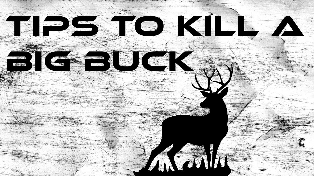 How To: Kill a Big Buck