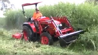 APOLLO 55hp with 6' Del Morino Flail Mower