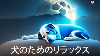 睡眠とリラックスのための音楽 (DOGS)  自宅で愛犬をリラックスさせる方法