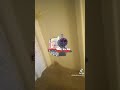 I'll be one last video please I bet you(5)