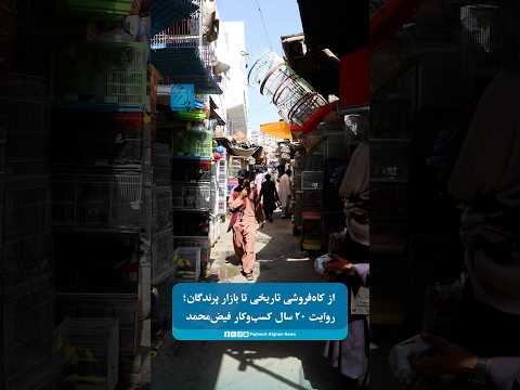 از کاه‌فروشی تاریخی تا بازار پرندگان؛ روایت ۲۰ سال کسب‌وکار فیض‌محمد