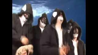 Killah Whalez Slap That Seal.mov