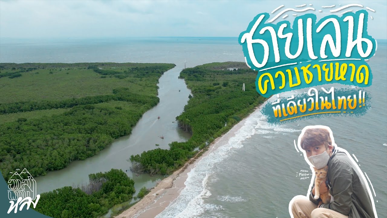 แหลมผักเบี้ย ทะเลที่มีทั้งชายเลนและชายหาด ที่เดียวในไทย!!! | อาสาพาไปหลง