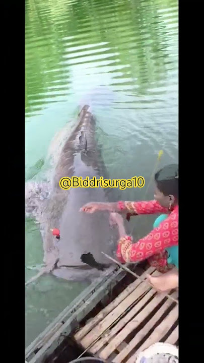 EMAK PRINDAPAN   MANCING DI BALONG STRIKE IKAN LELE MONSTER #prindapan #fishing