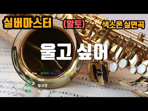 [은성 반주기] 울고싶어 - 배호 노래/ MR / 가사 / 반주