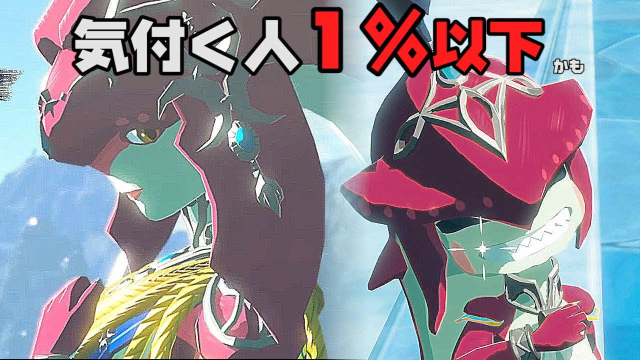 ニュートロファー・フラコネテのリーフレット