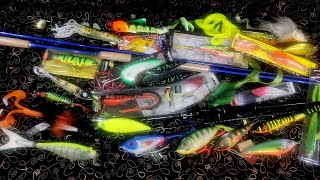 :    .  2024. Miuras Mouse Magnum, Pig Tail Jr  ..
