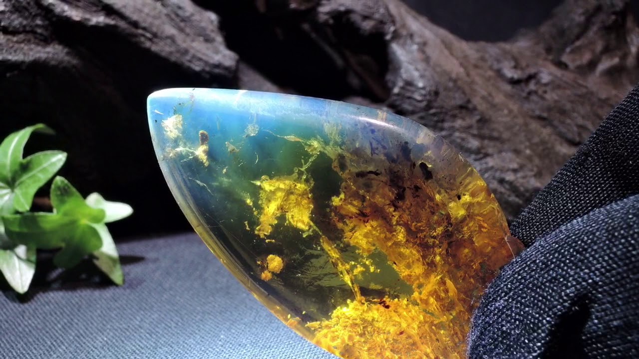 Blauer Bernstein #7, ein seltener und sehr schöner Schmuckstein