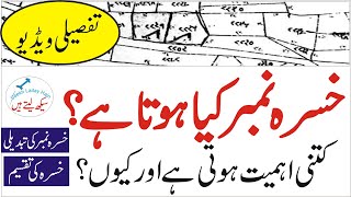 What Is Khasra Number In Property Khasra Number Kia Hota Hai In Urdu Hindi
