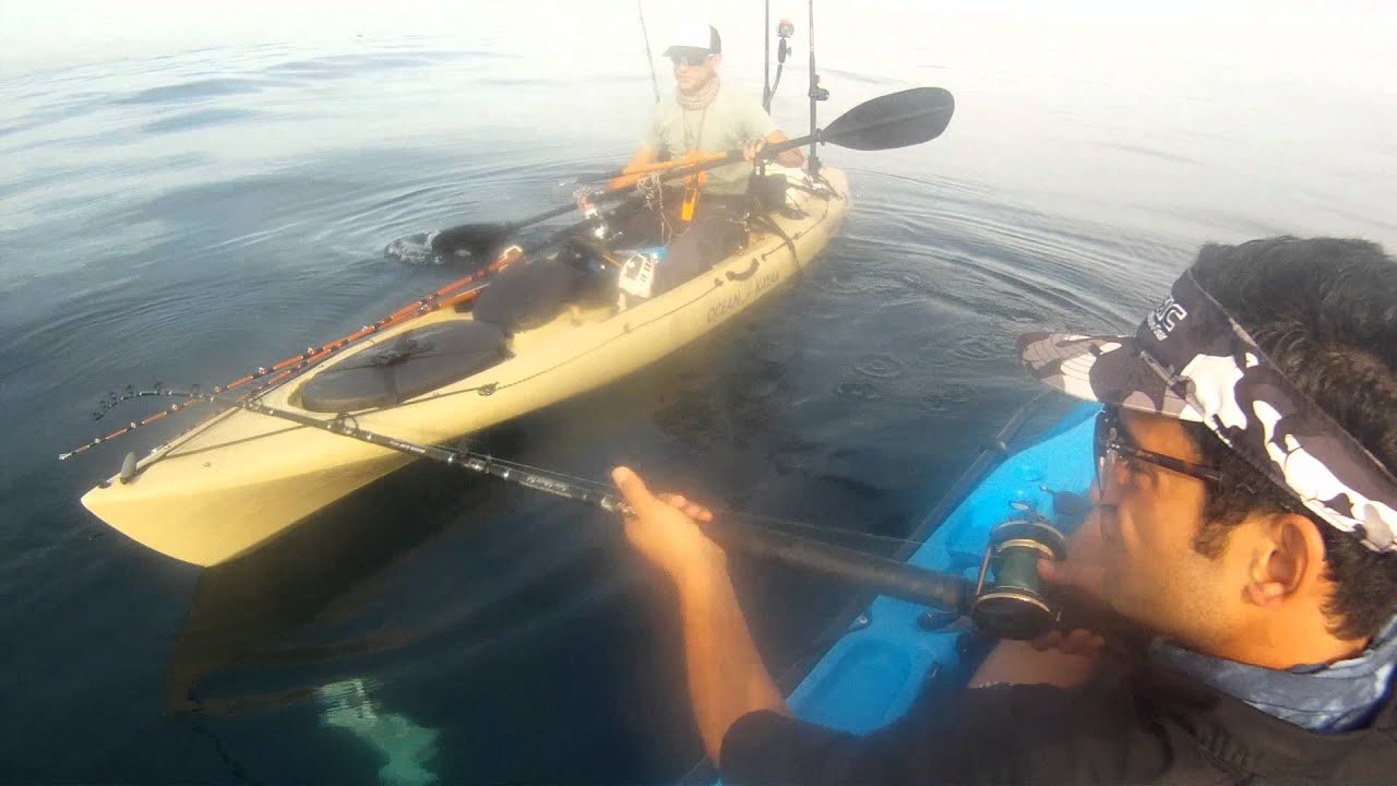 Fishing Diaries 16 La Jolla Kayak Fishing 30 lb Halibut YouTube