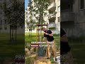Prečo toľko nových stromov v mestách neprežije prvé leto?