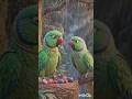 Aalsi Tote Ki Badi Galti Mehnat Ka Phal Emotional Parrot Story #animals #animalstory #fypシ゚viral