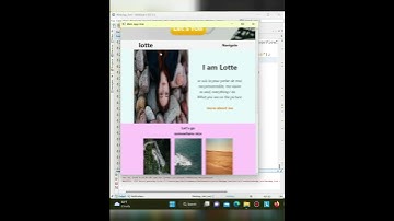 Java-FX WebApp Hnk (Final Project)