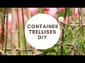 HOW I put together a TRELLIS - OBELISK using TREE BRANCHES 🌿 Purpurea Elegans Clematis