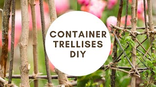 HOW I put together a TRELLIS - OBELISK using TREE BRANCHES 🌿 Purpurea Elegans Clematis