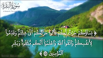 سورة( البقره )(يَسْأَلُونَكَ عَنِ الْخَمْرِ ... | برواية الدوري عن الكسائي |  ربيع بن فتحي المصري