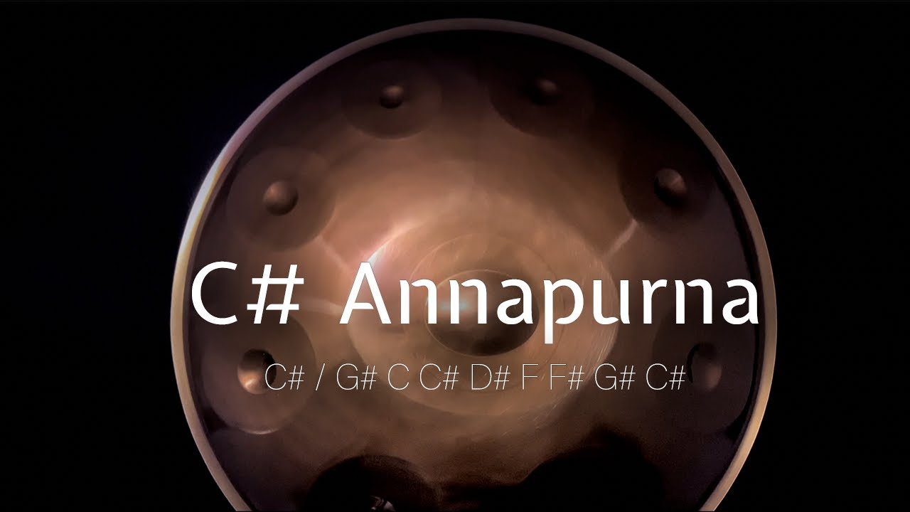 2023 C# Annapurna 9 | 정품 스테인레스 핸드팬