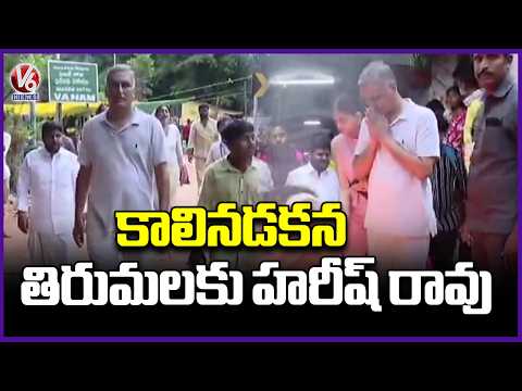 Harish Rao, Along with Family Members, Reaches Tirumala Temple on Foot | V6 News - V6NEWSTELUGU