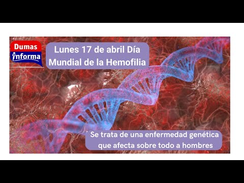 La Hemofilia es una enfermedad no contagiosa pero afecta a  uno de cada mil nacidos