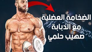 أسرار الضخامة العضلية مع الدبابة صهيب حلمي | تضخيم العضلات بدون دهون | ساموي