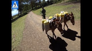 Дикость! Водоснабжение НА ОСЛАХ