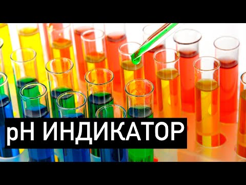 Video: Ачкычтын индикатору деген эмне?