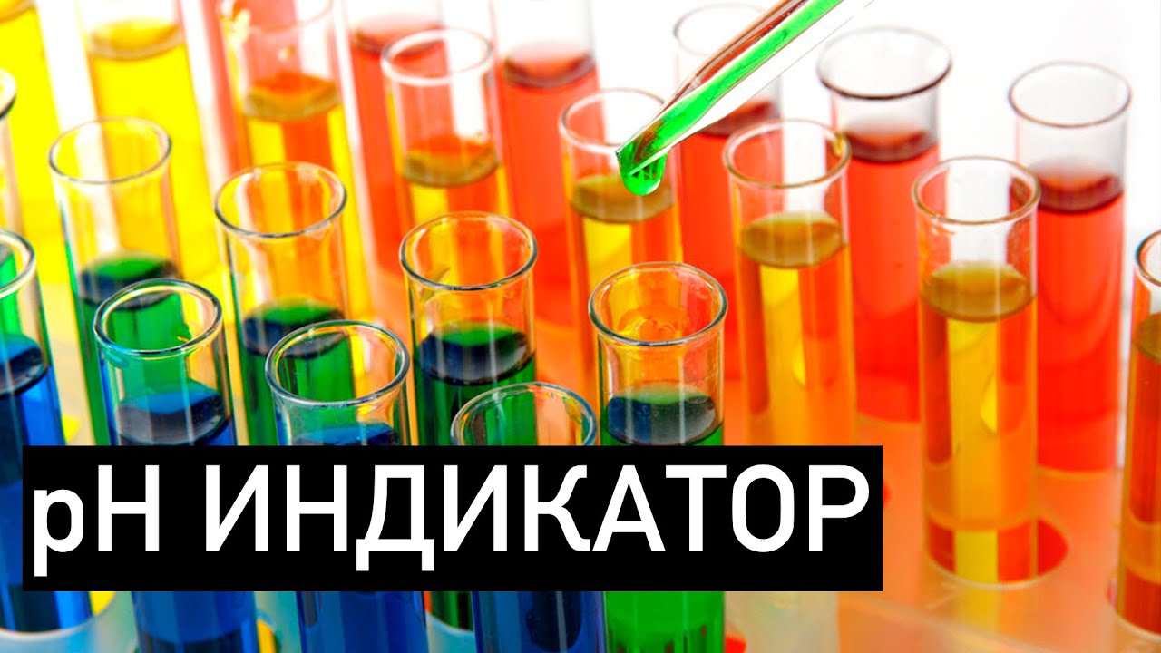 Индикатор pH. Химия – просто. Chemical indicator