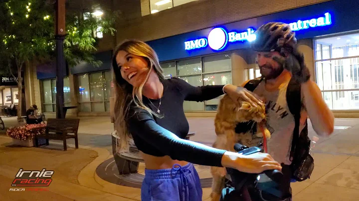 Watch the video about Mainecoon Onewheel Cat Adventures Downtown