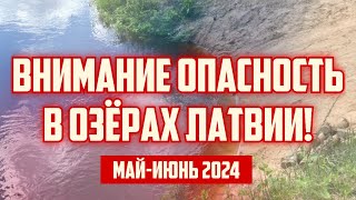 ВНИМАНИЕ ОПАСНОСТЬ В ОЗЁРАХ ЛАТВИИ! | МАЙ-ИЮНЬ 2024 | КРИМИНАЛЬНАЯ ЛАТВИЯ