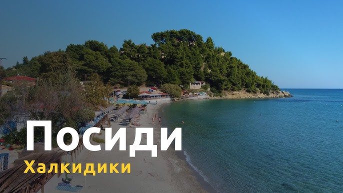 Hol mushuklar onlayn video