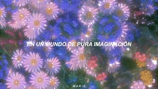 Timothée Chalamet - Pure Imagination | Traducida al español