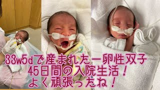 33w5dで産まれた一卵性双子の退院までの記録