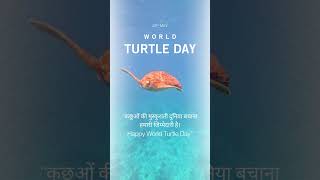 World Turtle Day Wishes & Quotes | Protect Wildlife | Dil Se Radio #naturelovers #ocean #shortvideo
