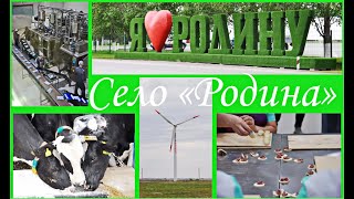 Село "Родина" - пример для подражания 🏡🐮🐄 "Rodina" village - a sample to follow