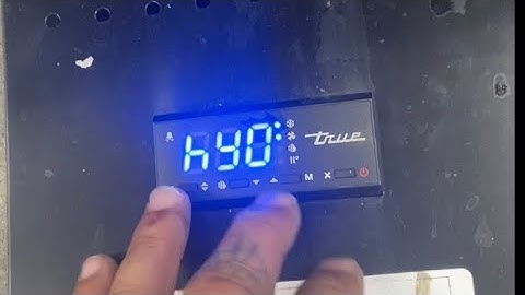 3 door True Freezer frozen