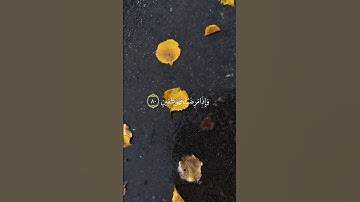 رعد الكردي:سورة الشعراء الاية:(٧٨-٨٣)