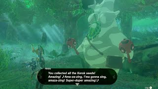 “When you Give ALL 1000 Korok Seeds To Hetsu ”