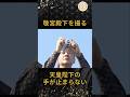 [家族]敬宮殿下を撮る、天皇陛下の手が止まらない#皇室 #天皇陛下 #皇后陛下 #敬宮殿下 #shorts