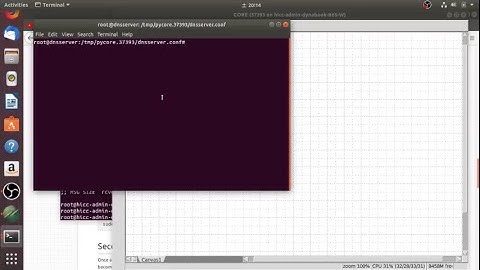 Trying DNS Emulation Core Network Ubuntu 18.04 LTS (Failed)