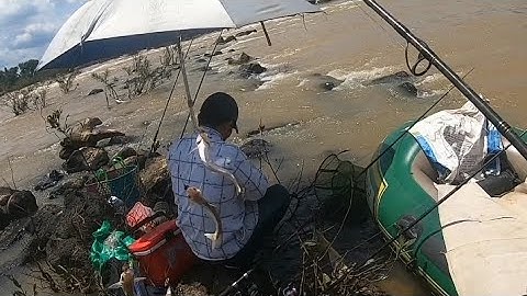 2 ae đi câu cá chốt bò mà đụng ổ cá xác giật mỏi tay luôn