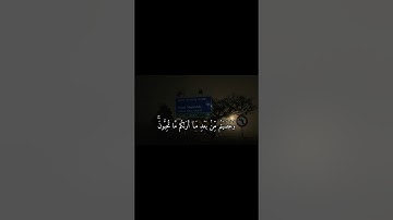 القارئ ياسر الدوسري - تلاوة جميلة من سورة آل عمران 😍🎧