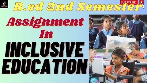 B.ed 2nd Semester Assignment in inclusive education//file in hindi #b.ed #inclusiveeducation