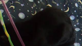 DSCF5059