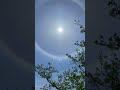 【見るだけで】努力が実りになって戻って来る動画🌈✨🌸🌟