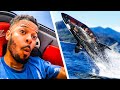 $100,000 UNDERWATER SHARK JET SKI 🦈  | Seabreacher | Jeremy Lynch