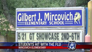 Mircovich Elementary School Flu