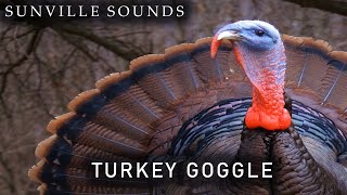 Turkey Gobble | Animal Sounds with Peter Baeten