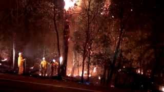 Felling a burning tree