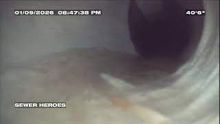 CIPP Sewer lining before and after video